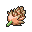 "petaya" (items-outline)