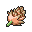 "petaya" (items)