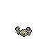 Geodude Base
