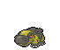 Hippowdon Base