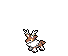 Sawsbuck Winter