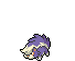Skuntank Base