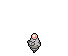 Spoink Base