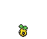 Sunkern Base