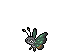 Vivillon Jungle