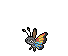Vivillon Ocean