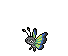 Vivillon Savanna