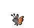 Vivillon Sun