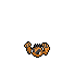 Shiny Geodude Alolan
