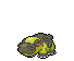Shiny Hippowdon Base