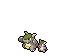 Shiny Kangaskhan Mega