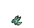 Shiny Noibat Base