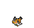 Shiny Pikachu Phd