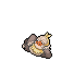 Shiny Slaking Base
