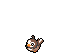 Shiny Starly Base