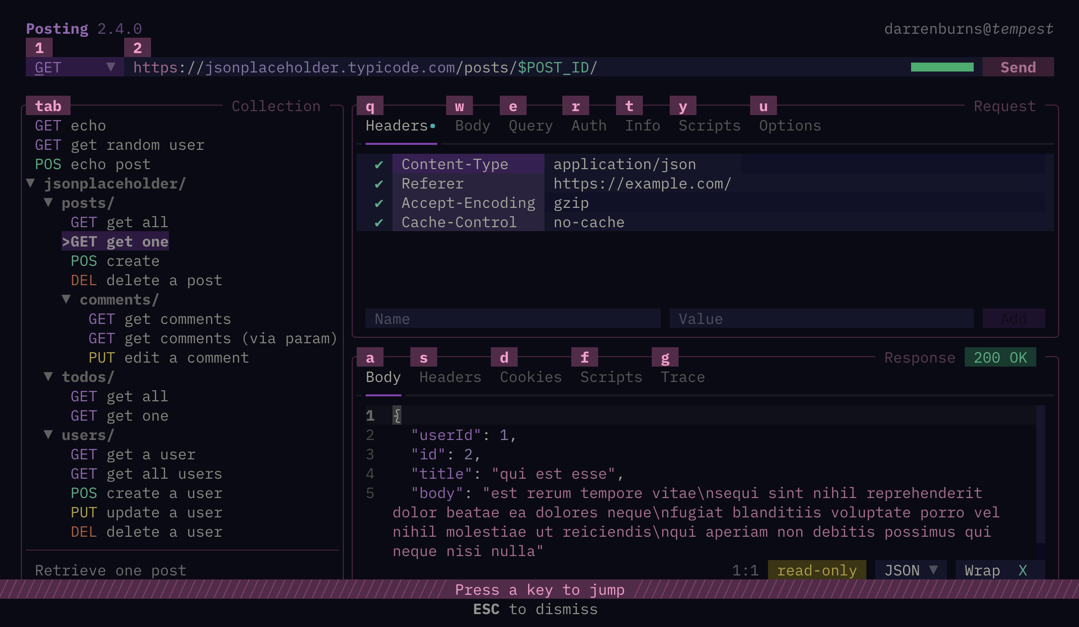 Posting jump mode — pressing Ctrl+O highlights interactive widgets with one-key shortcuts