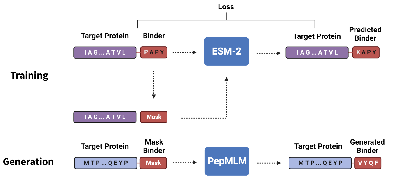 Pepmlm Image