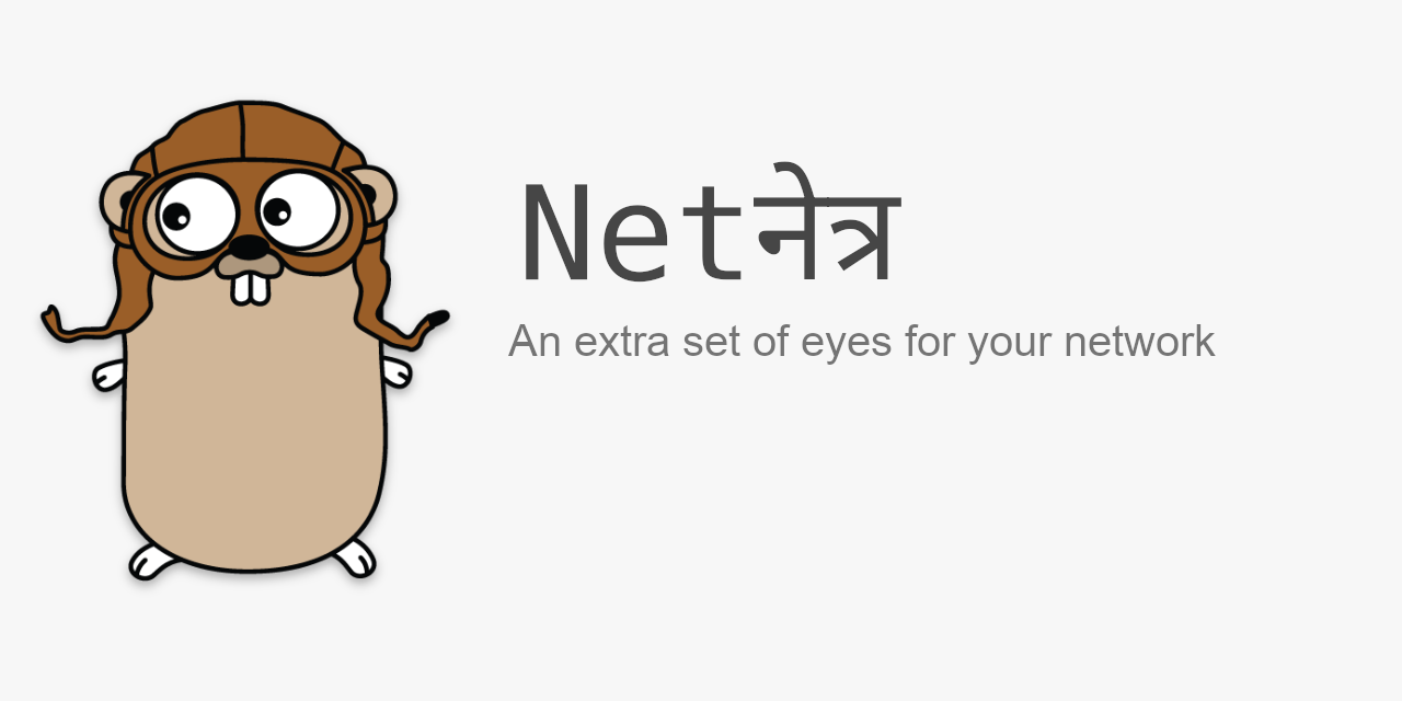 NetNetra - An Extra Set Of Eyes For Your Network