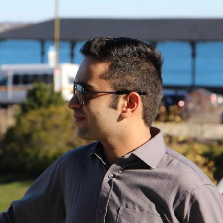 Muhammad Moiz