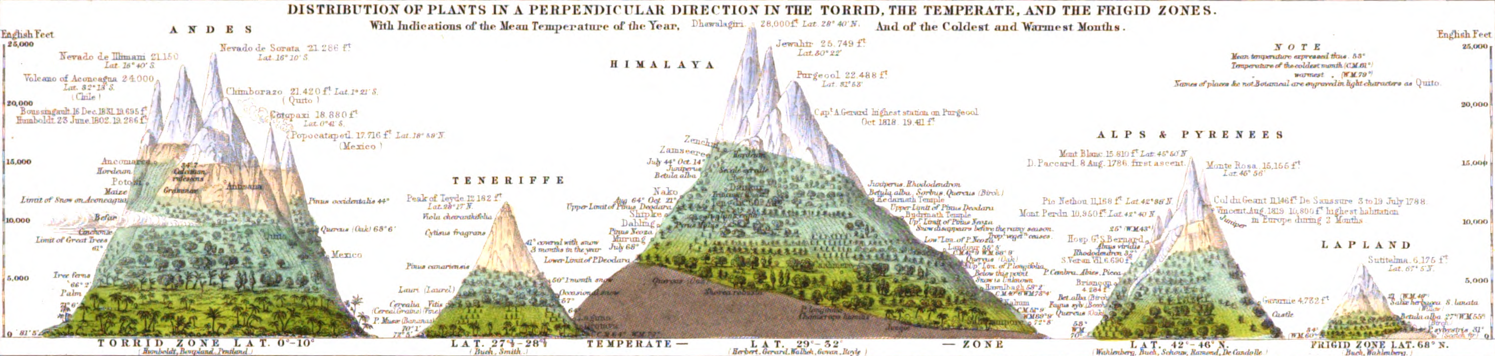 Figure 1: Height maps to elevation