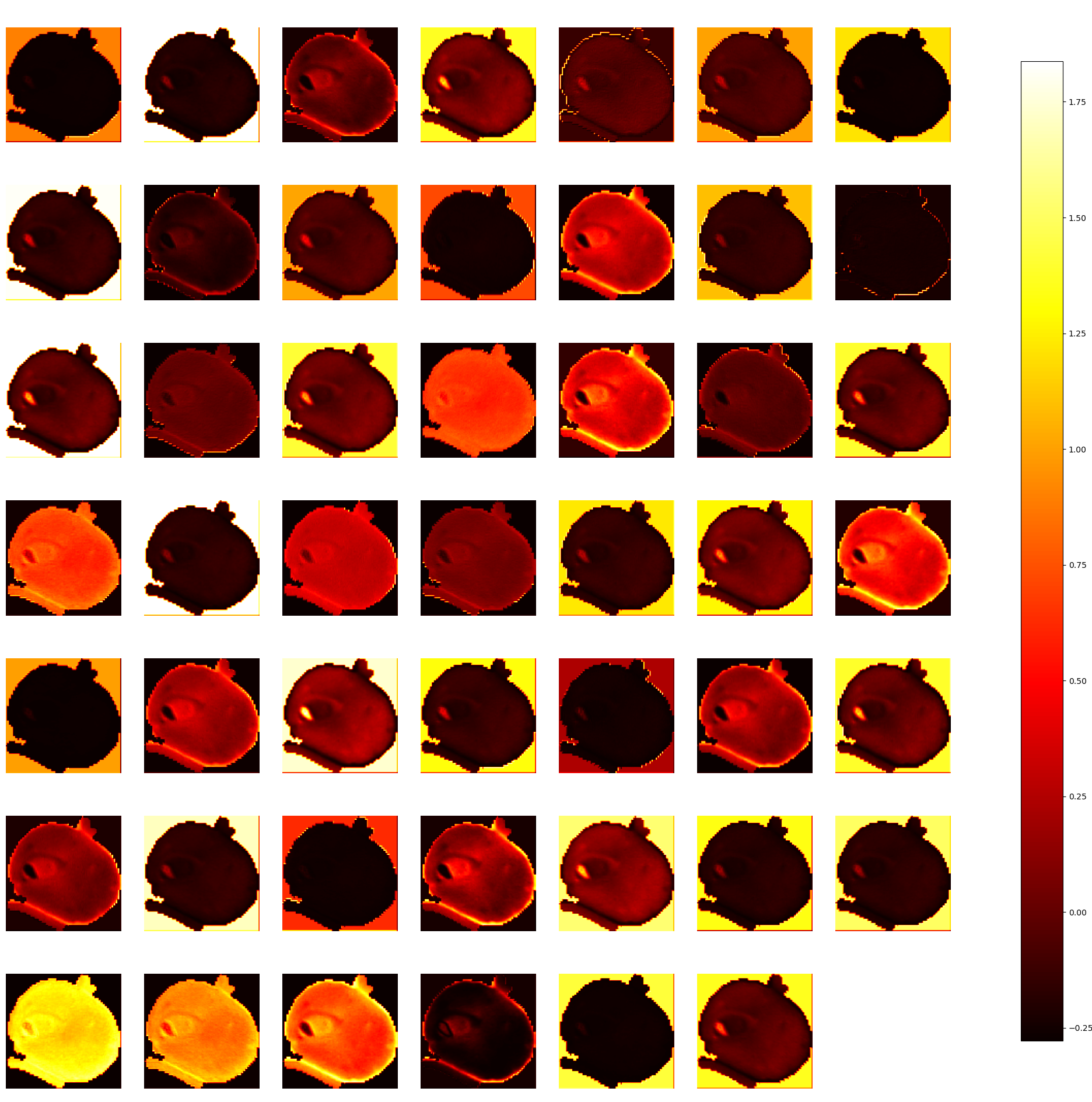 Stem activation layer activation maps