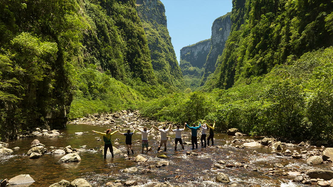 Grupo de amigos celebrando em meio à natureza