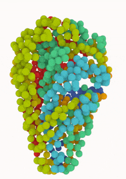 3D structure of the Neurospora crassa genome at 50 kb resolution