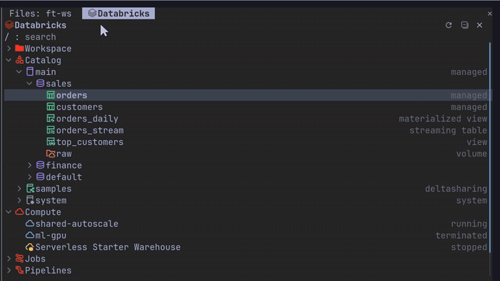 The Databricks pane highlighting a table Claude reads