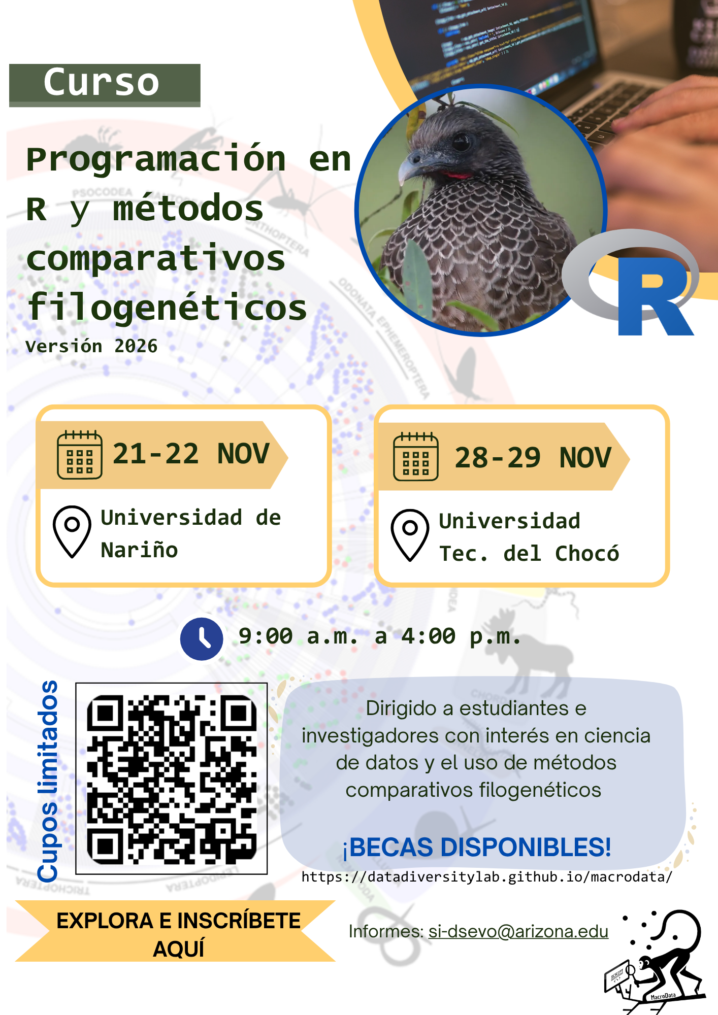 actualizacion