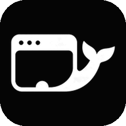 dsh-desktop 配套应用截图 2