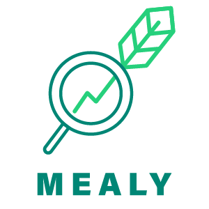 Model Error Analysis Workflow