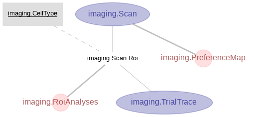 imaging schema