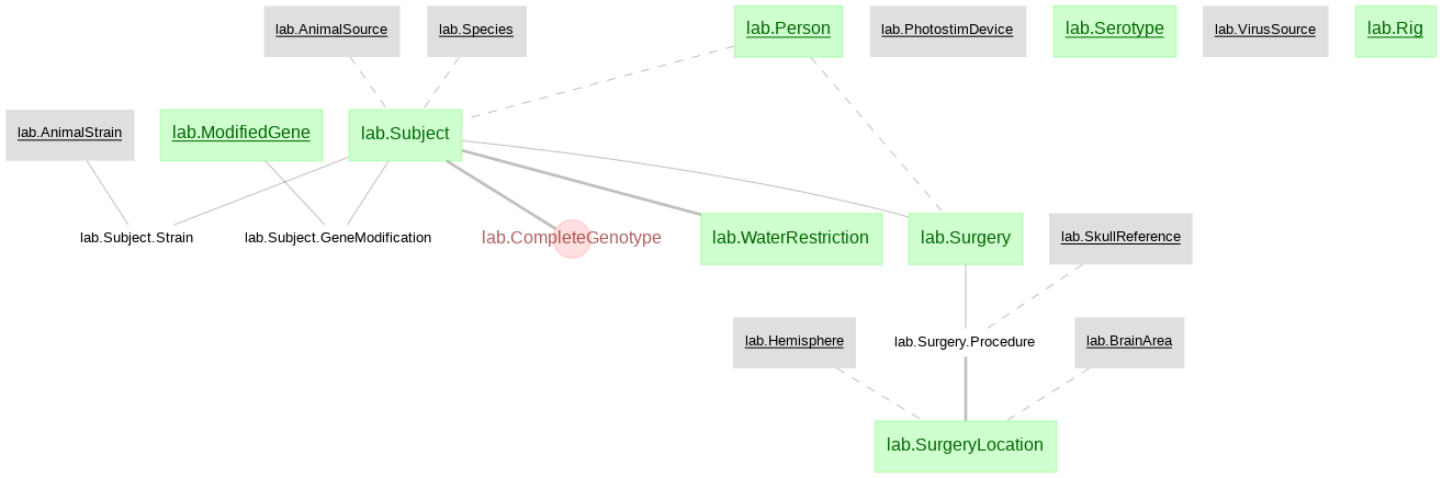 lab schema