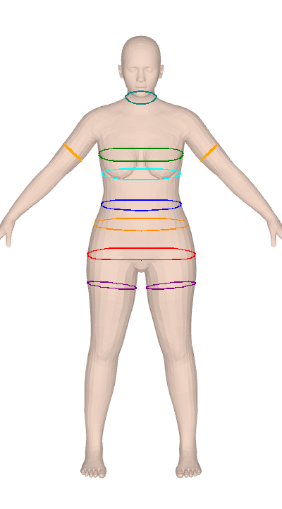 Anny body rotating with ISO 8559-1 circumference measurement contours