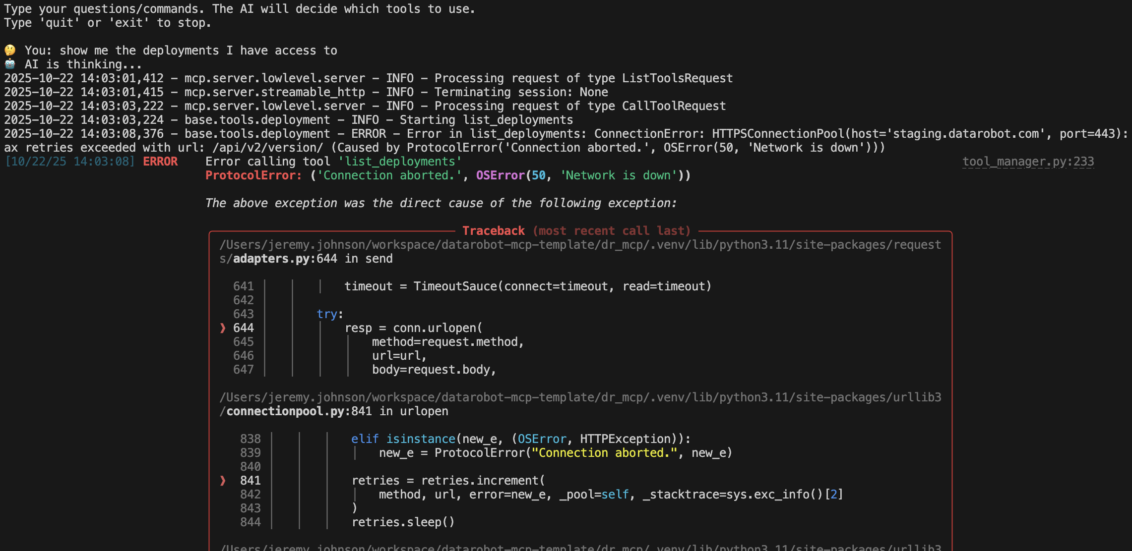 MCP server error display showing formatted error messages and stack traces