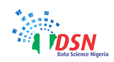 DSN logo