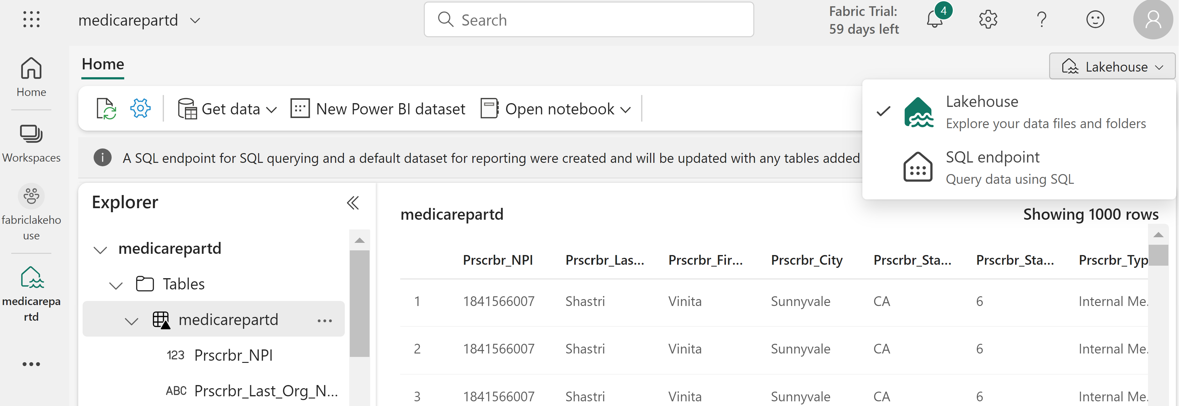 GitHub - DataSnowman/fabriclakehouse · GitHub