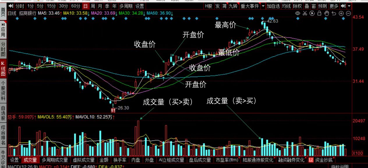 31_技术面数据示例