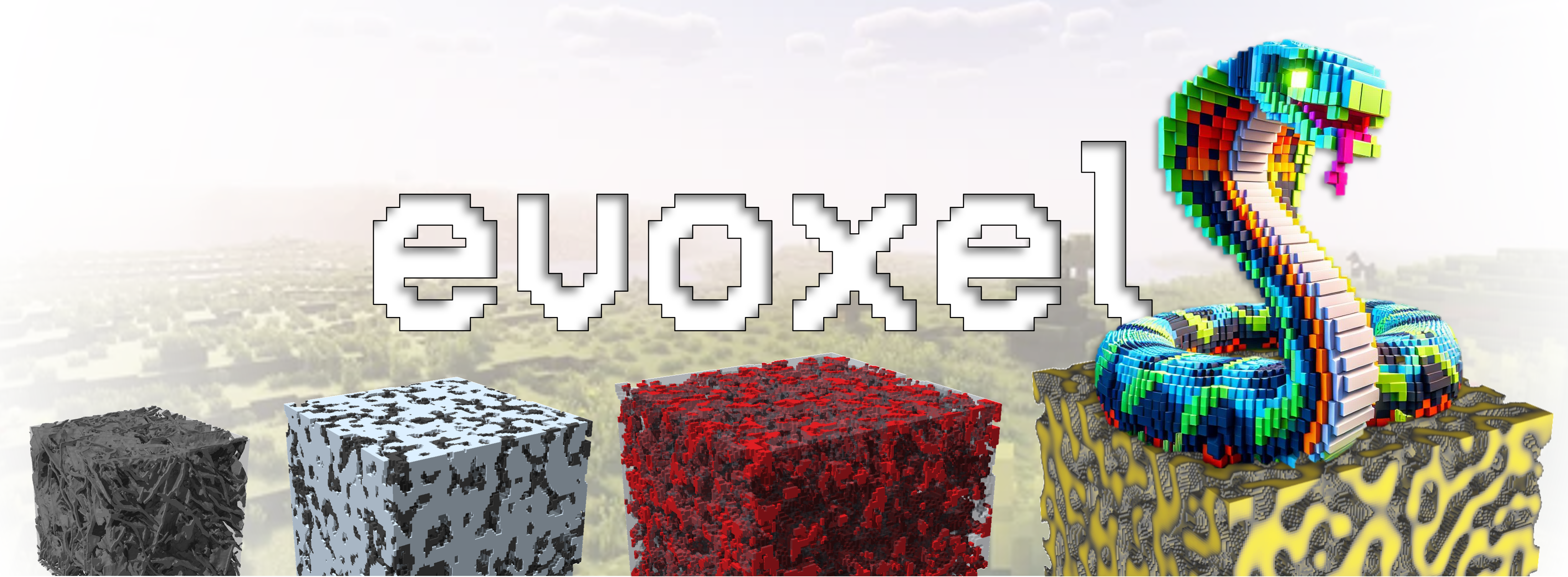 Evoxels overview