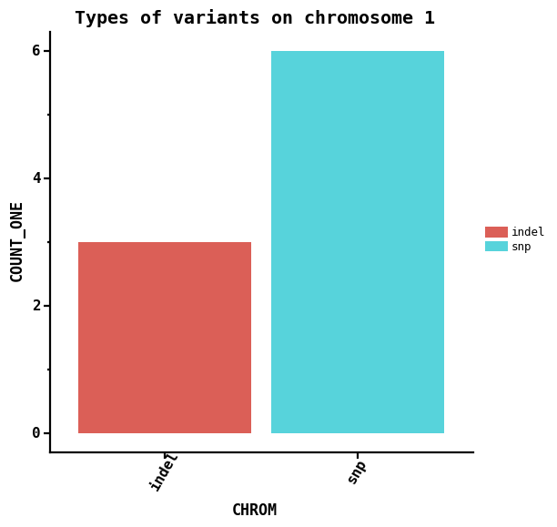 Types of variants on chromosome 1