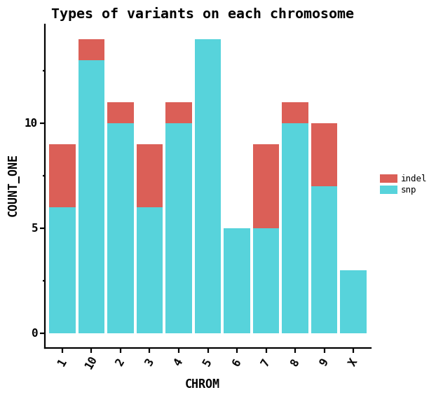 Types of variants on each chromosome