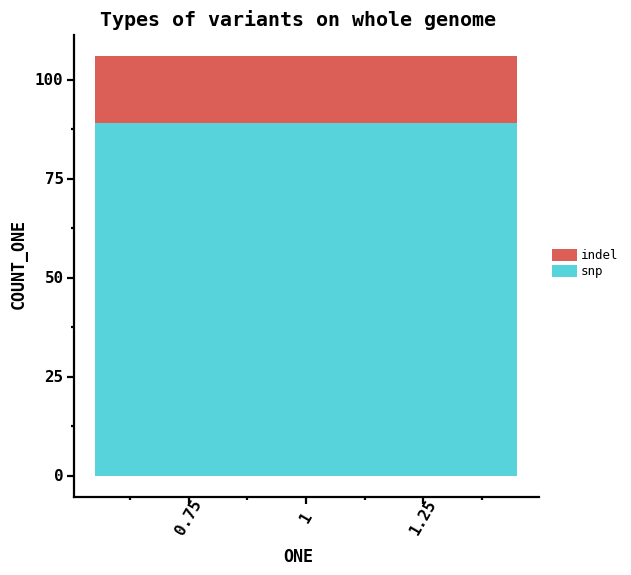 Types of variants on whole genome