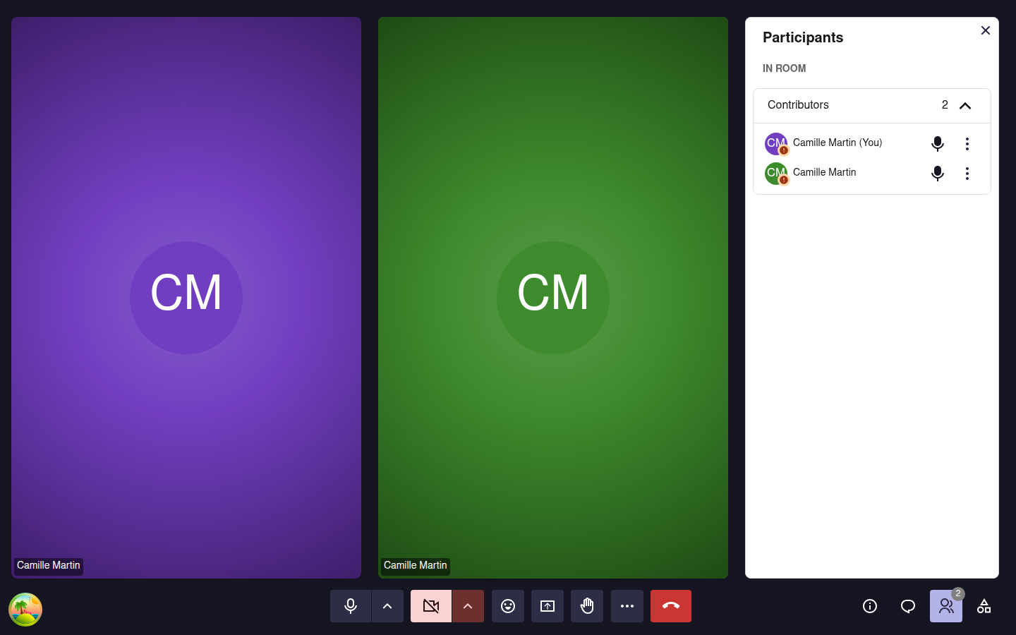 Meeting with two participants, both labelled Camille Martin on their tile and in the Participants panel