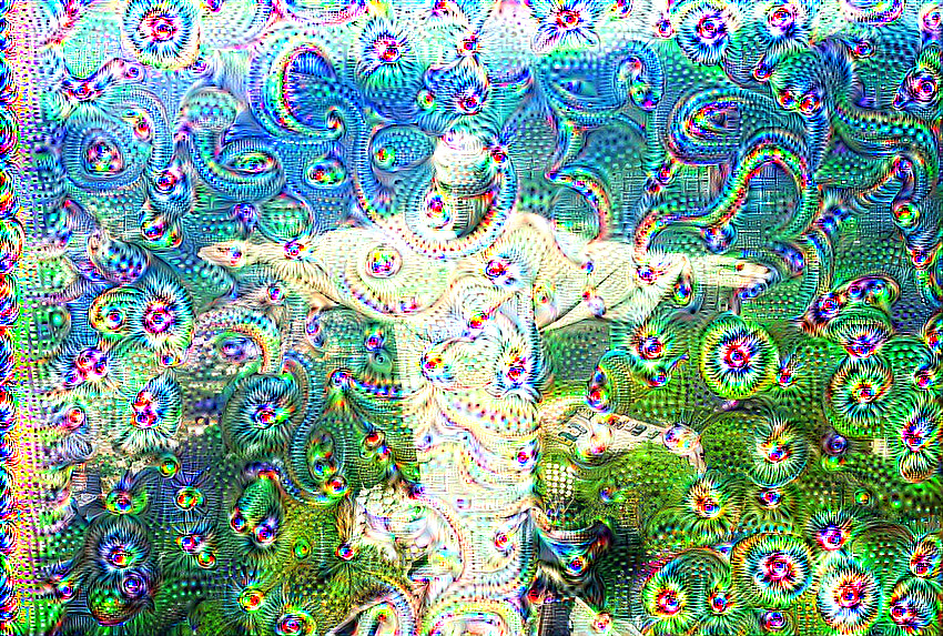 Deepdream on Rio