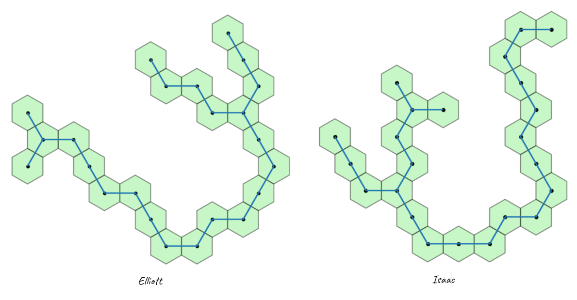 Largest Hexagon Polyominoes