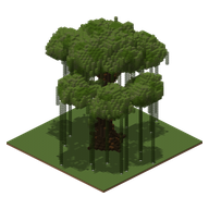 An Aries oak