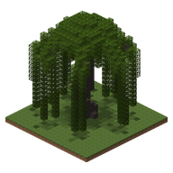 A big weeping willow