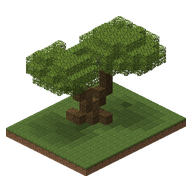 An olive tree
