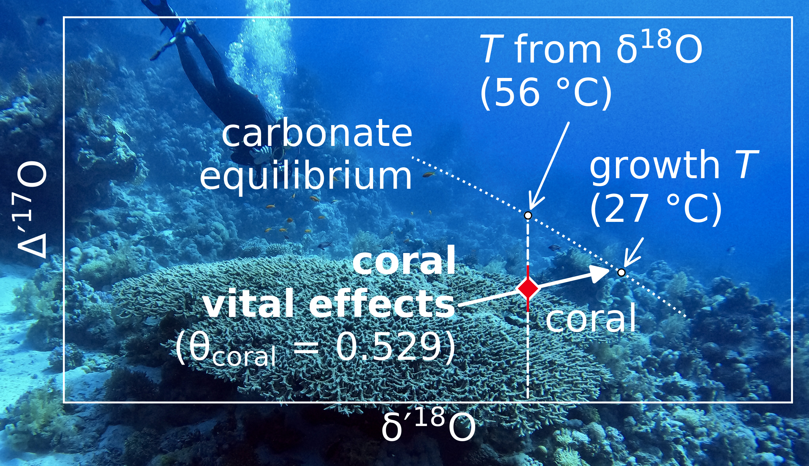 Graphical Abstract