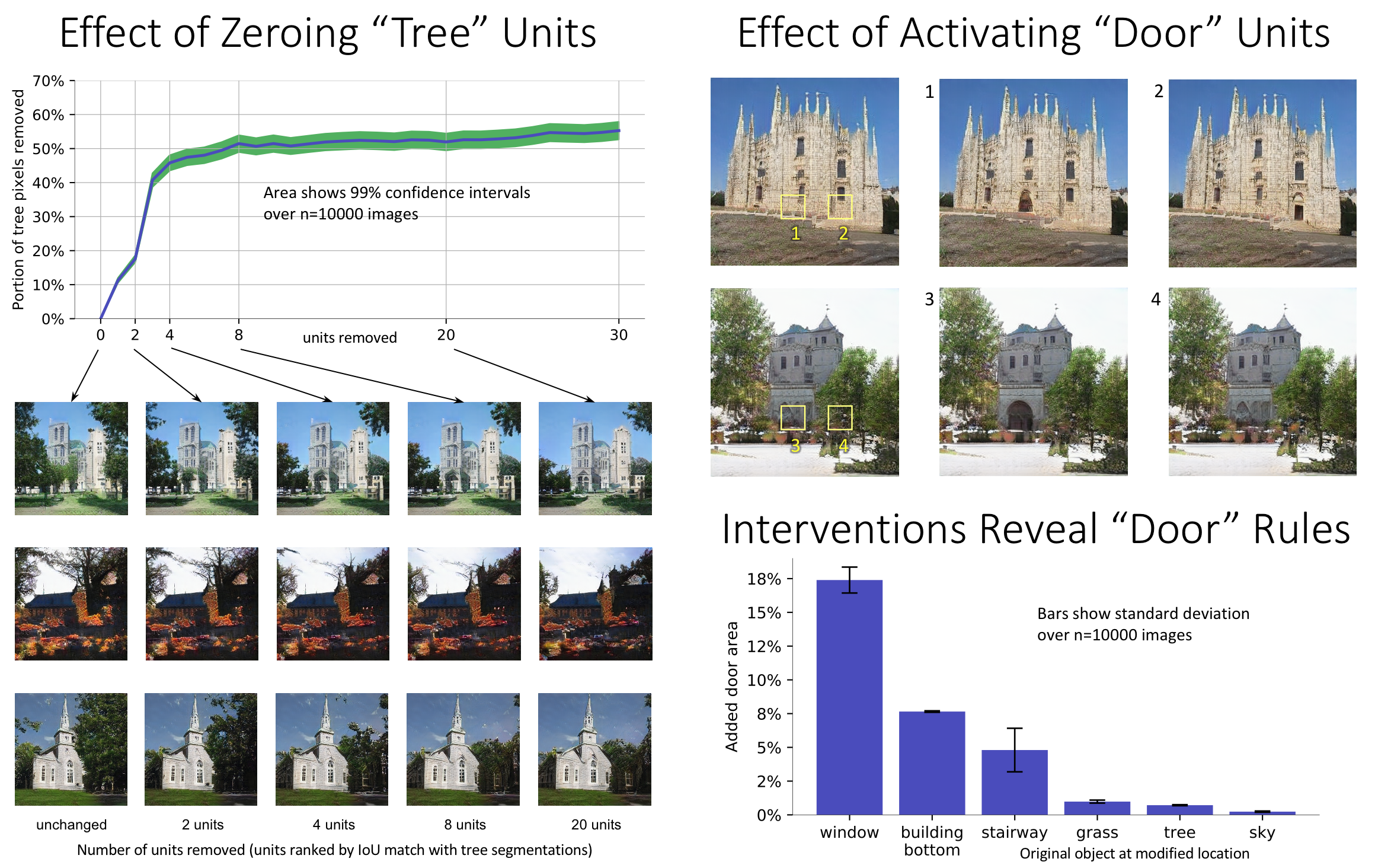 Genereator Intervention Experiments